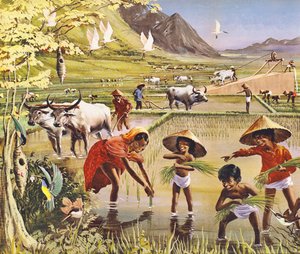 マラヤの水田 作： English School